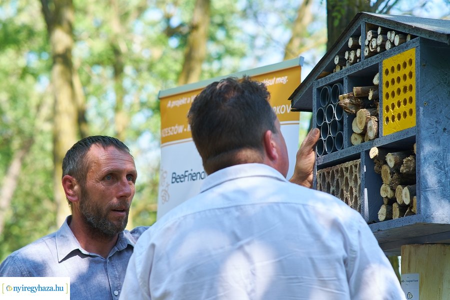 Rovarházak a Sóstói erdőben