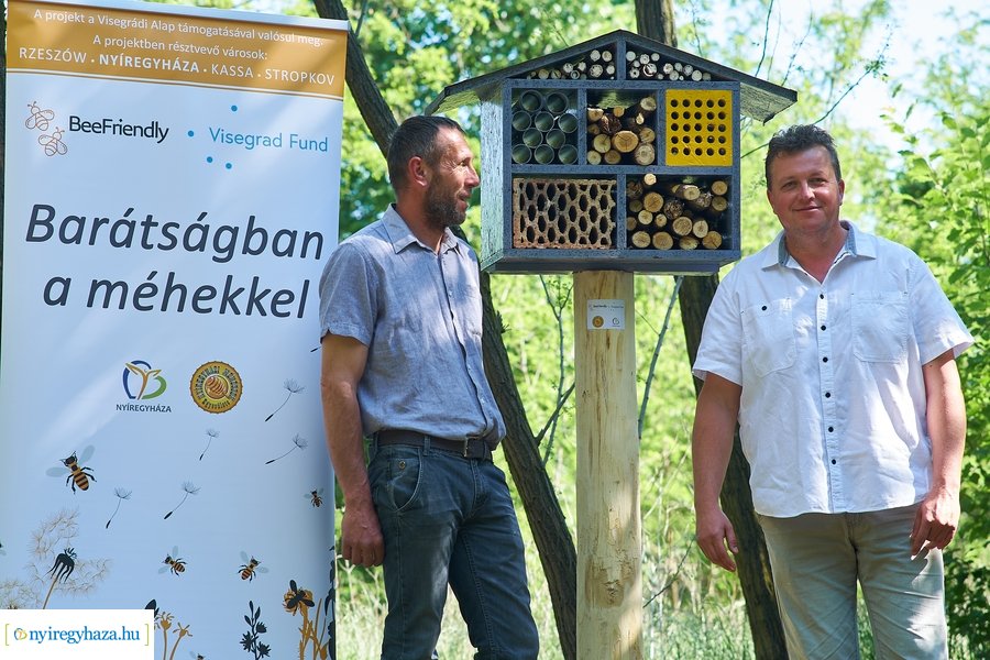 Rovarházak a Sóstói erdőben