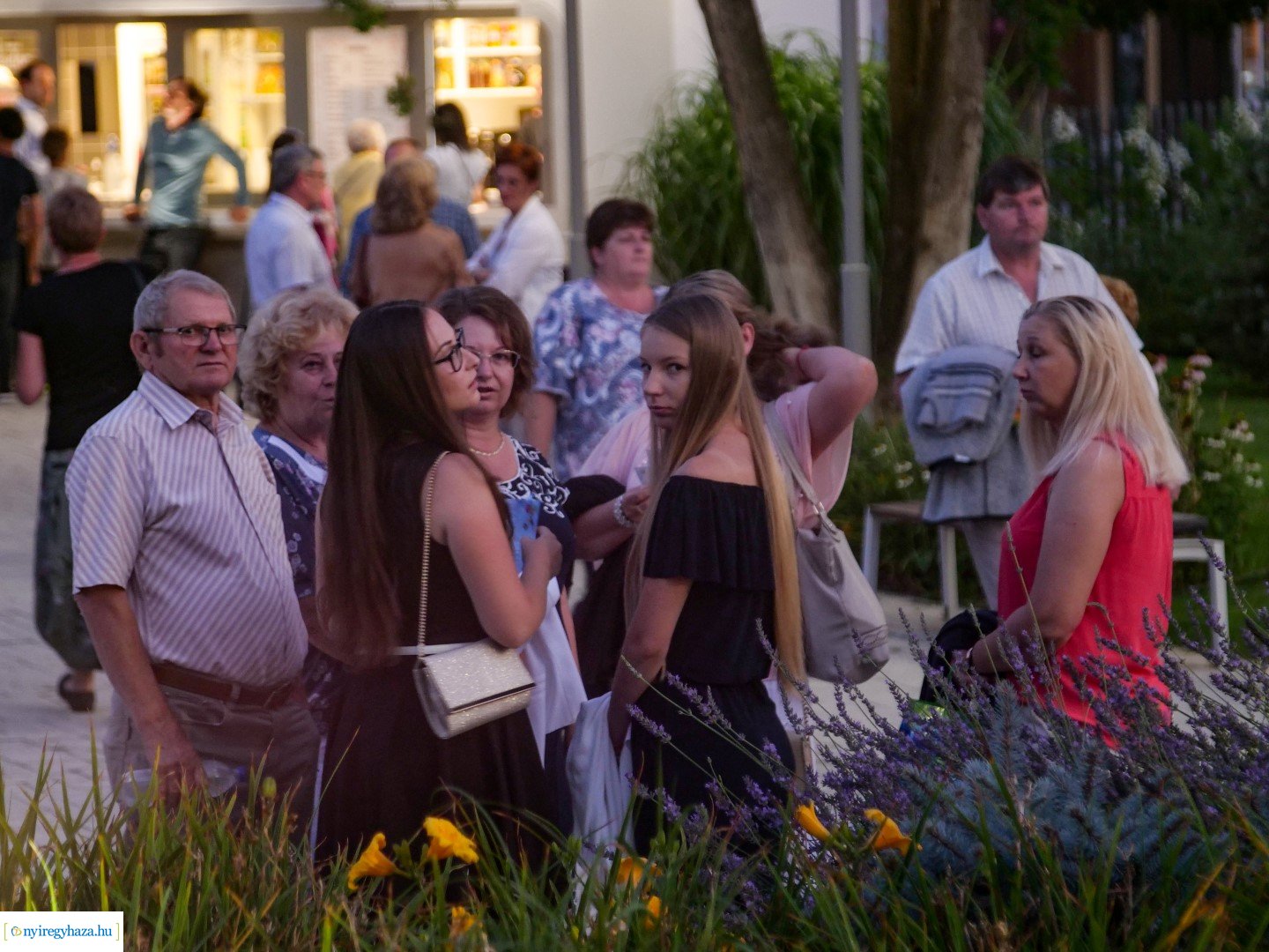 Rózsakert Szabadtéri Színpad Bolha a fülbe