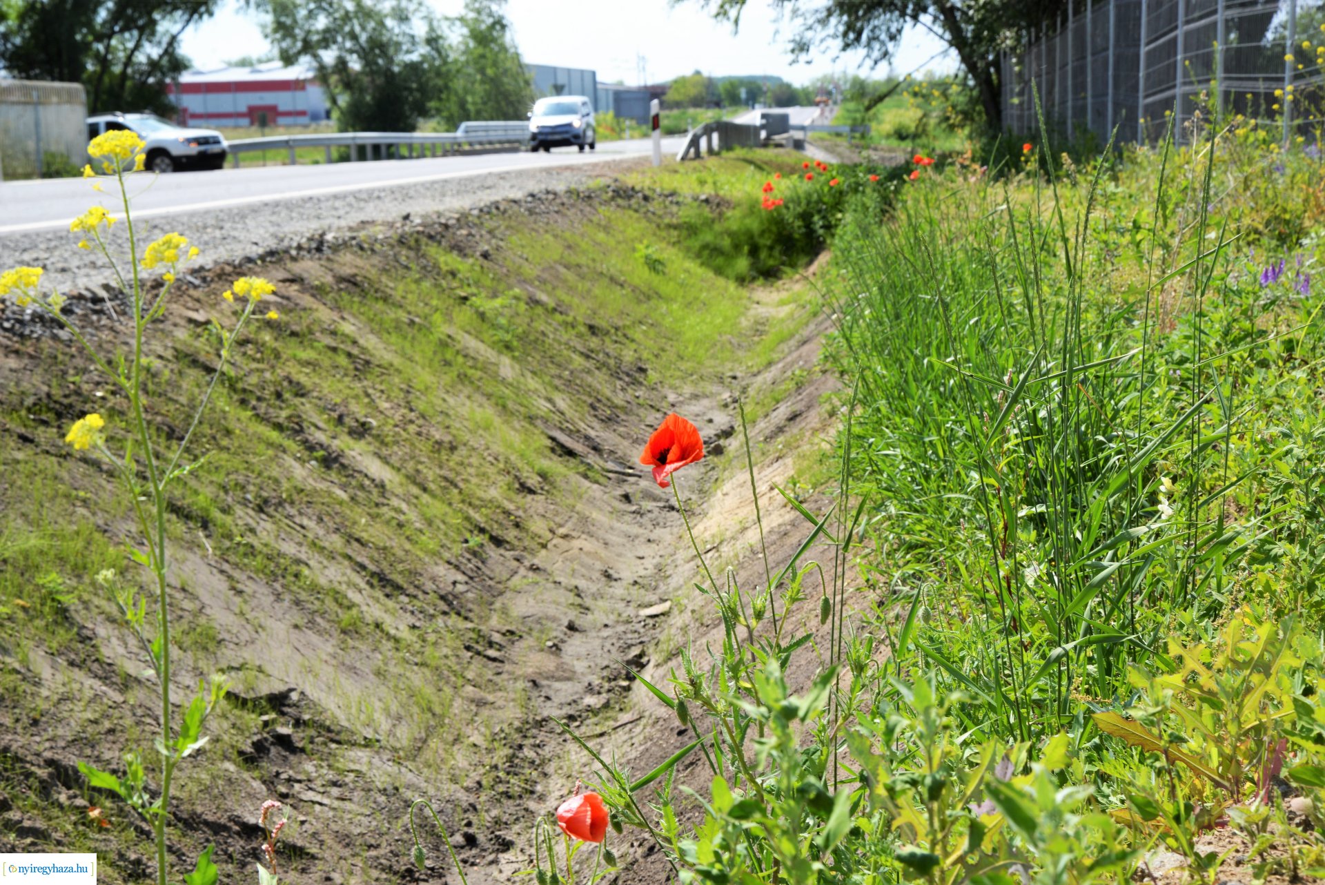 Rozsrétszőlő felújított  bekötőút átadás