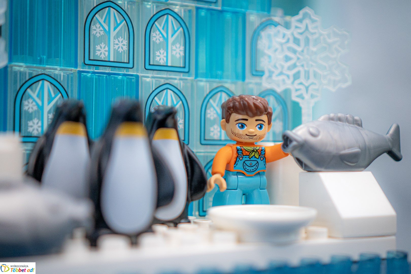 Sarkvidéki karácsony a LEGO gyárral a Nyíregyházi Állatparkban