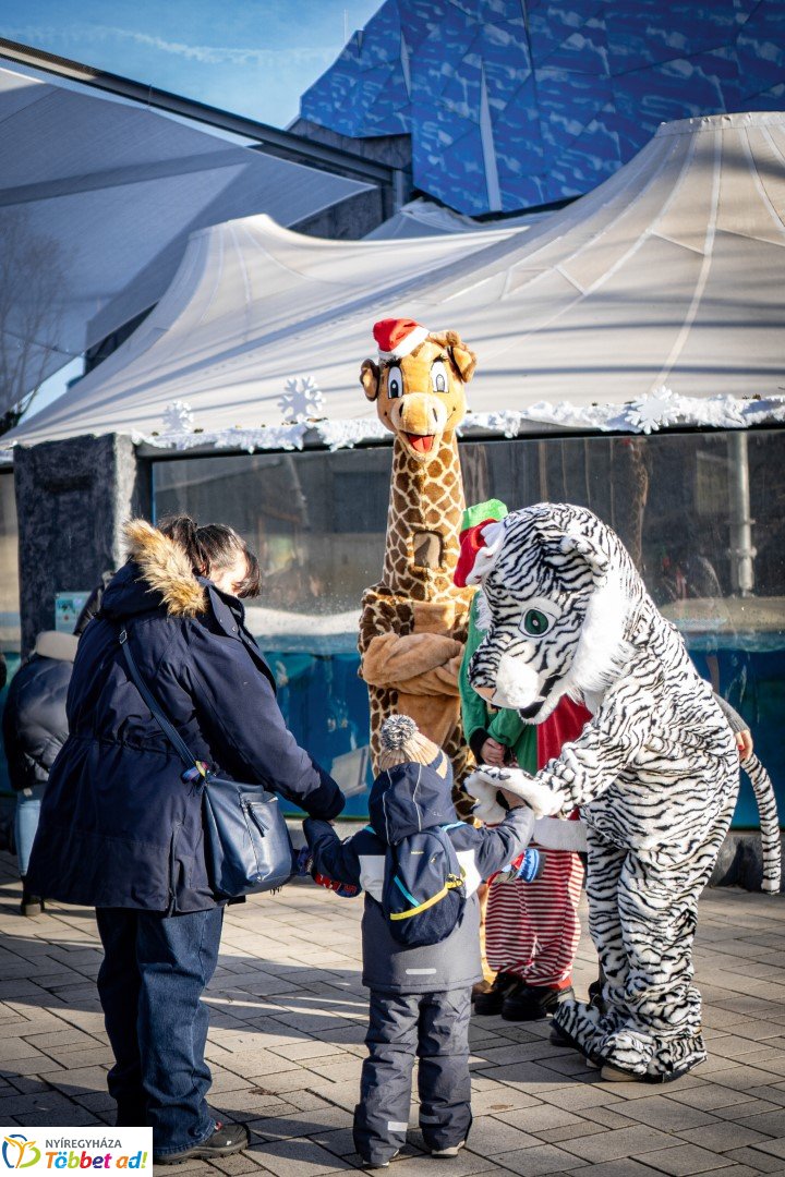 Sarkvidéki karácsony a LEGO gyárral a Nyíregyházi Állatparkban