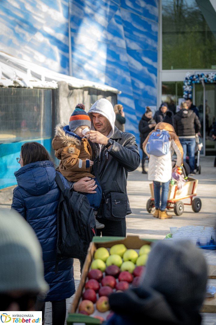 Sarkvidéki karácsony a LEGO gyárral a Nyíregyházi Állatparkban