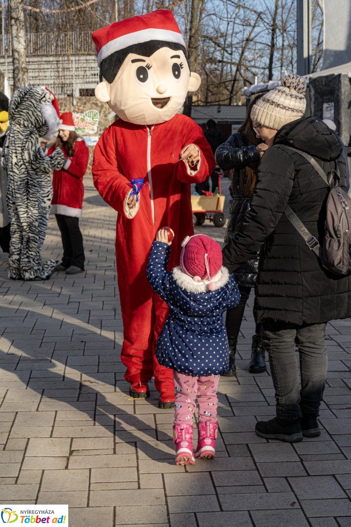 Sarkvidéki karácsony a LEGO gyárral a Nyíregyházi Állatparkban