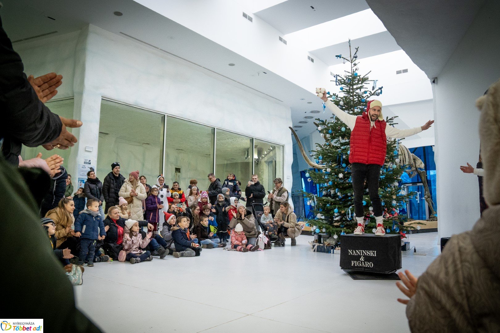 Sarkvidéki karácsony a LEGO gyárral a Nyíregyházi Állatparkban