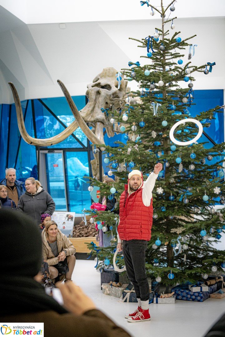 Sarkvidéki karácsony a LEGO gyárral a Nyíregyházi Állatparkban