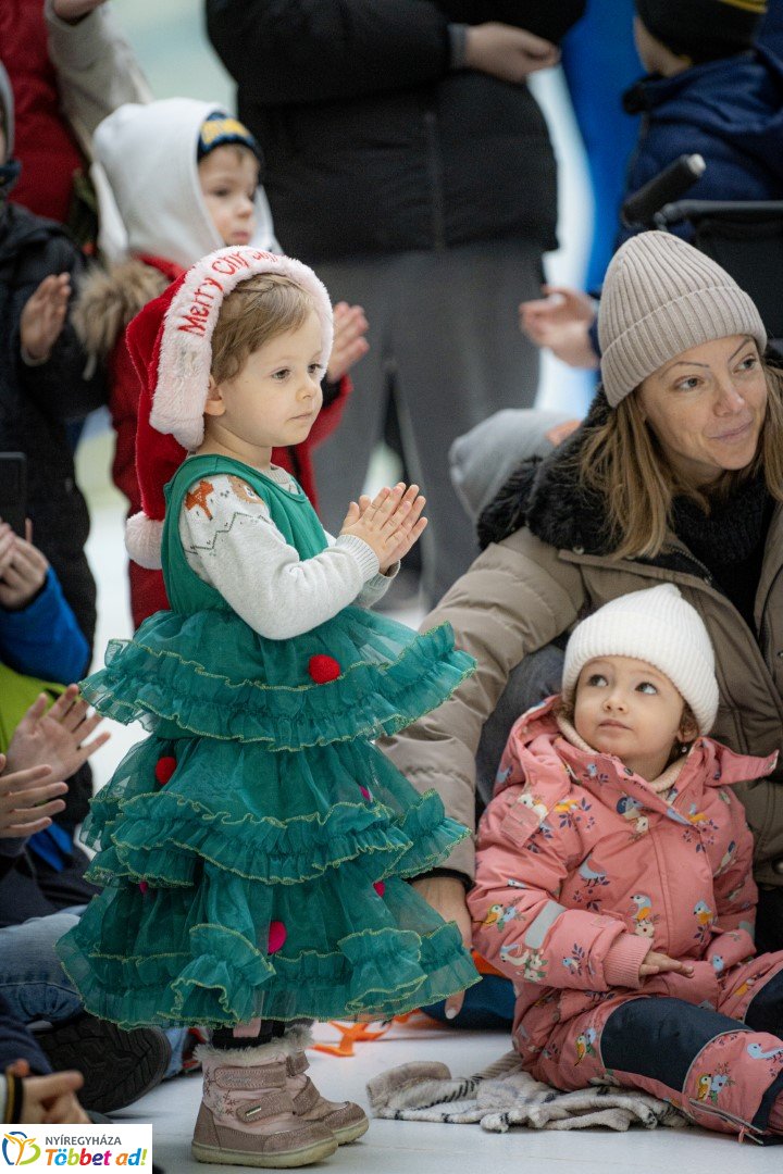 Sarkvidéki karácsony a LEGO gyárral a Nyíregyházi Állatparkban