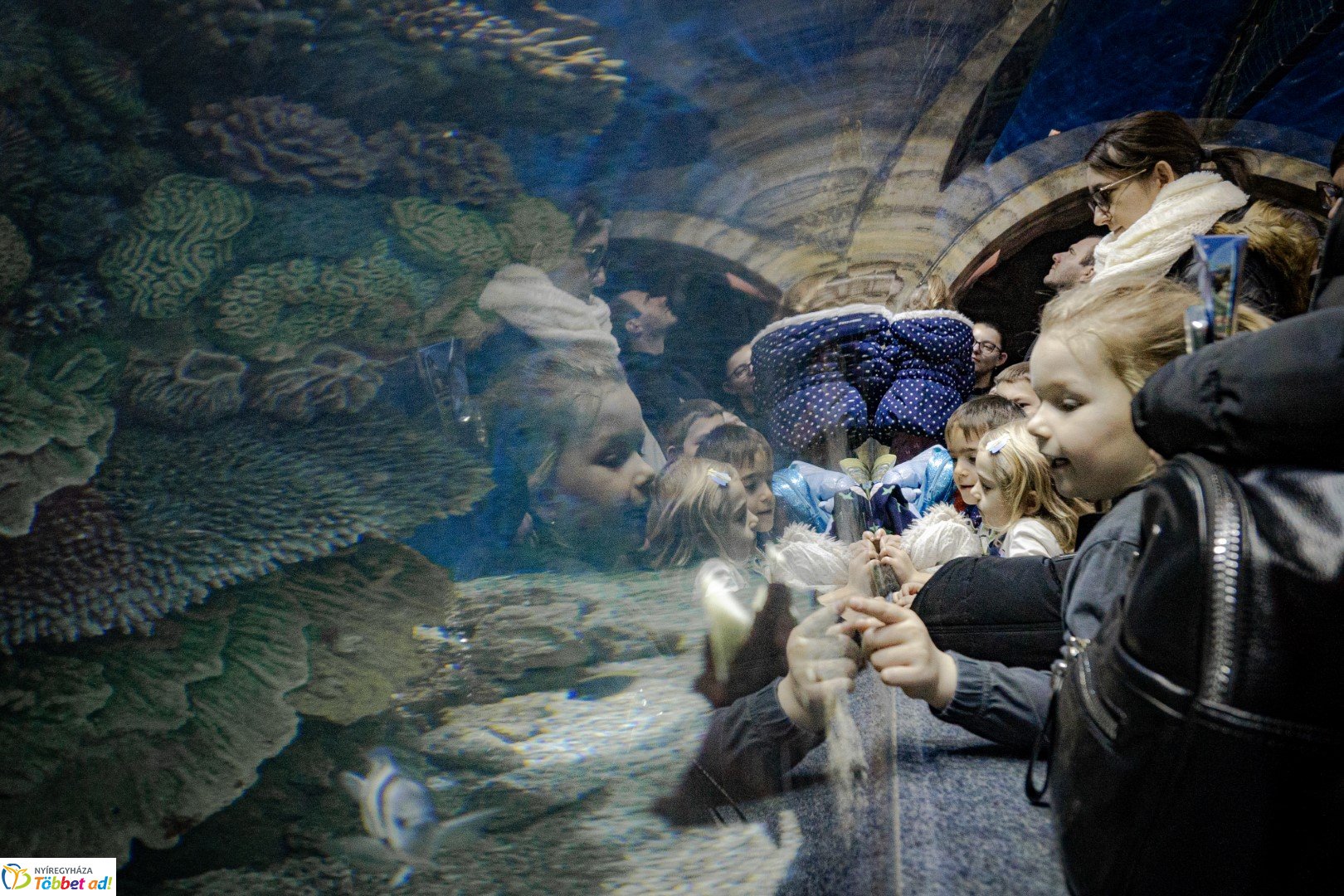 Sarkvidéki karácsony a LEGO gyárral a Nyíregyházi Állatparkban