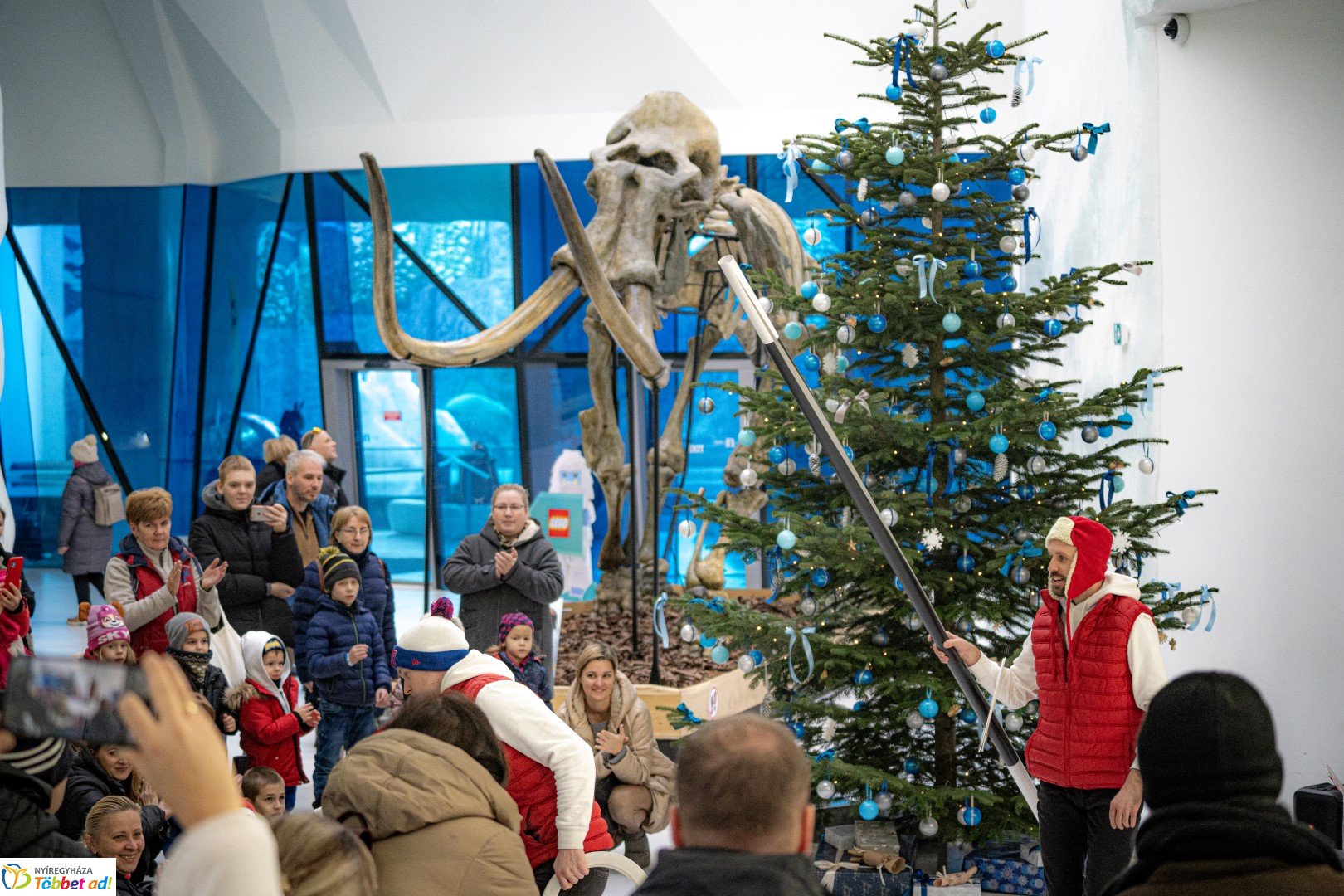 Sarkvidéki karácsony a LEGO gyárral a Nyíregyházi Állatparkban