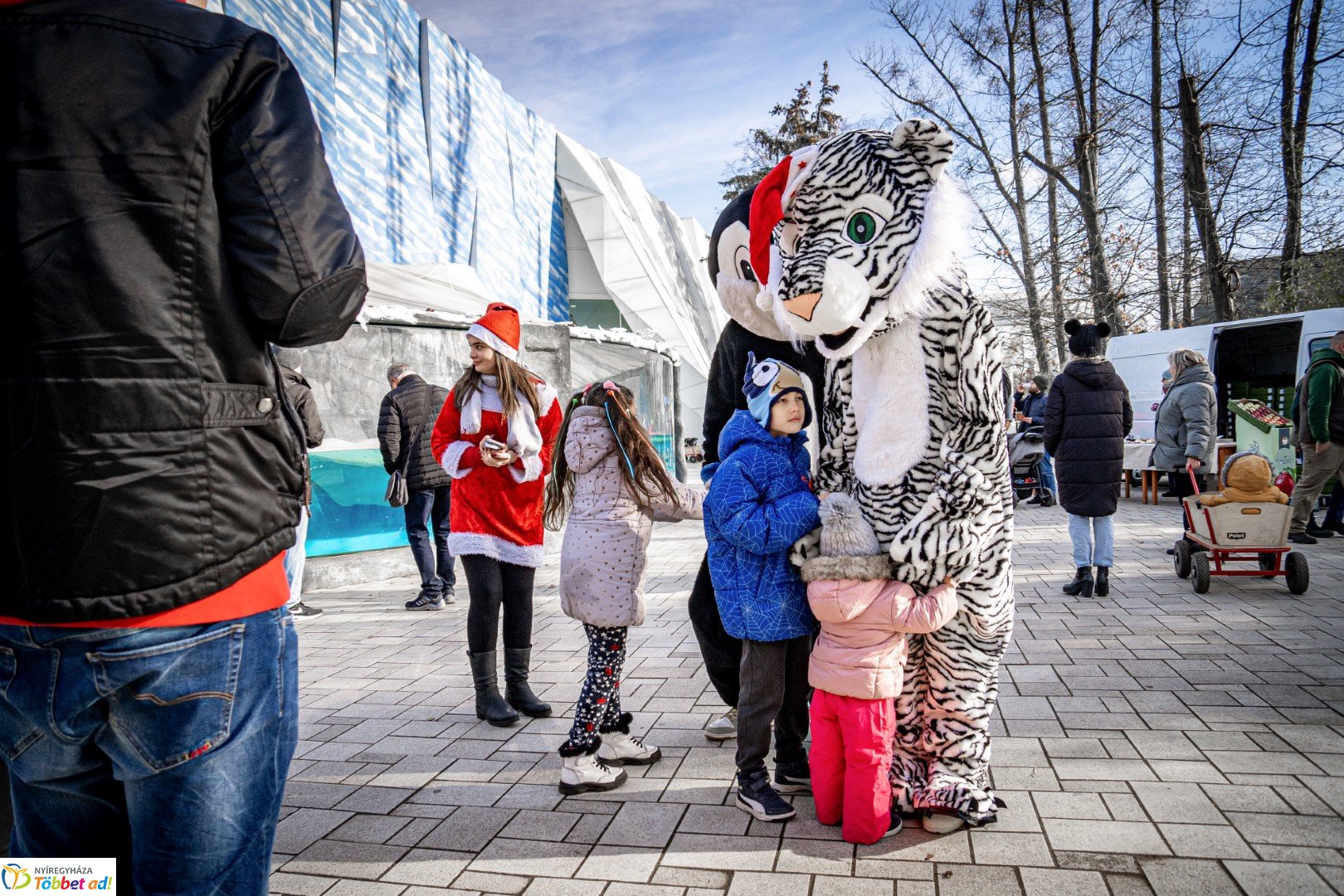 Sarkvidéki karácsony a LEGO gyárral a Nyíregyházi Állatparkban