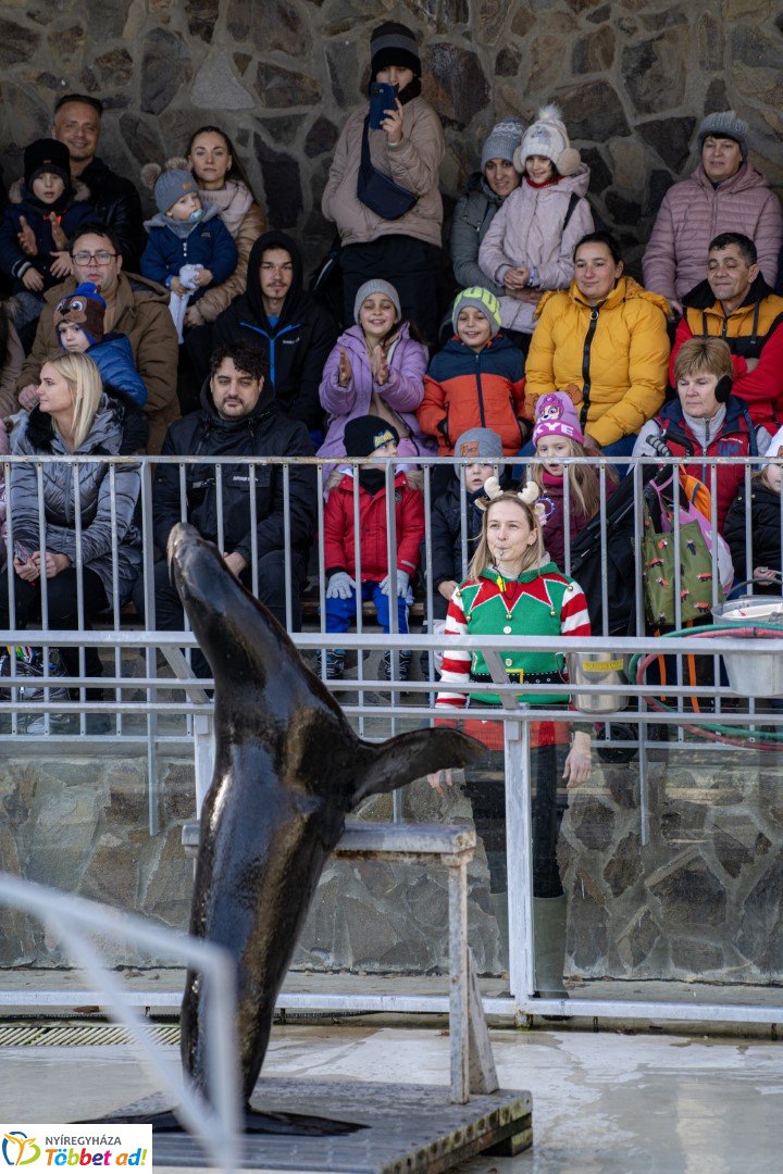 Sarkvidéki karácsony a LEGO gyárral a Nyíregyházi Állatparkban