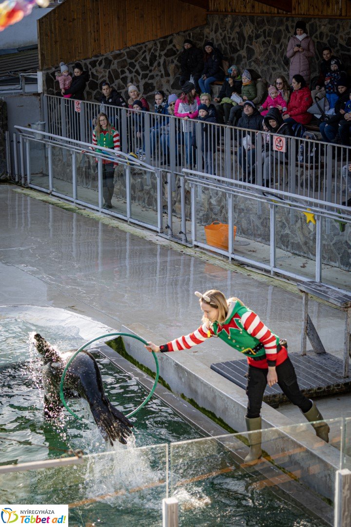 Sarkvidéki karácsony a LEGO gyárral a Nyíregyházi Állatparkban