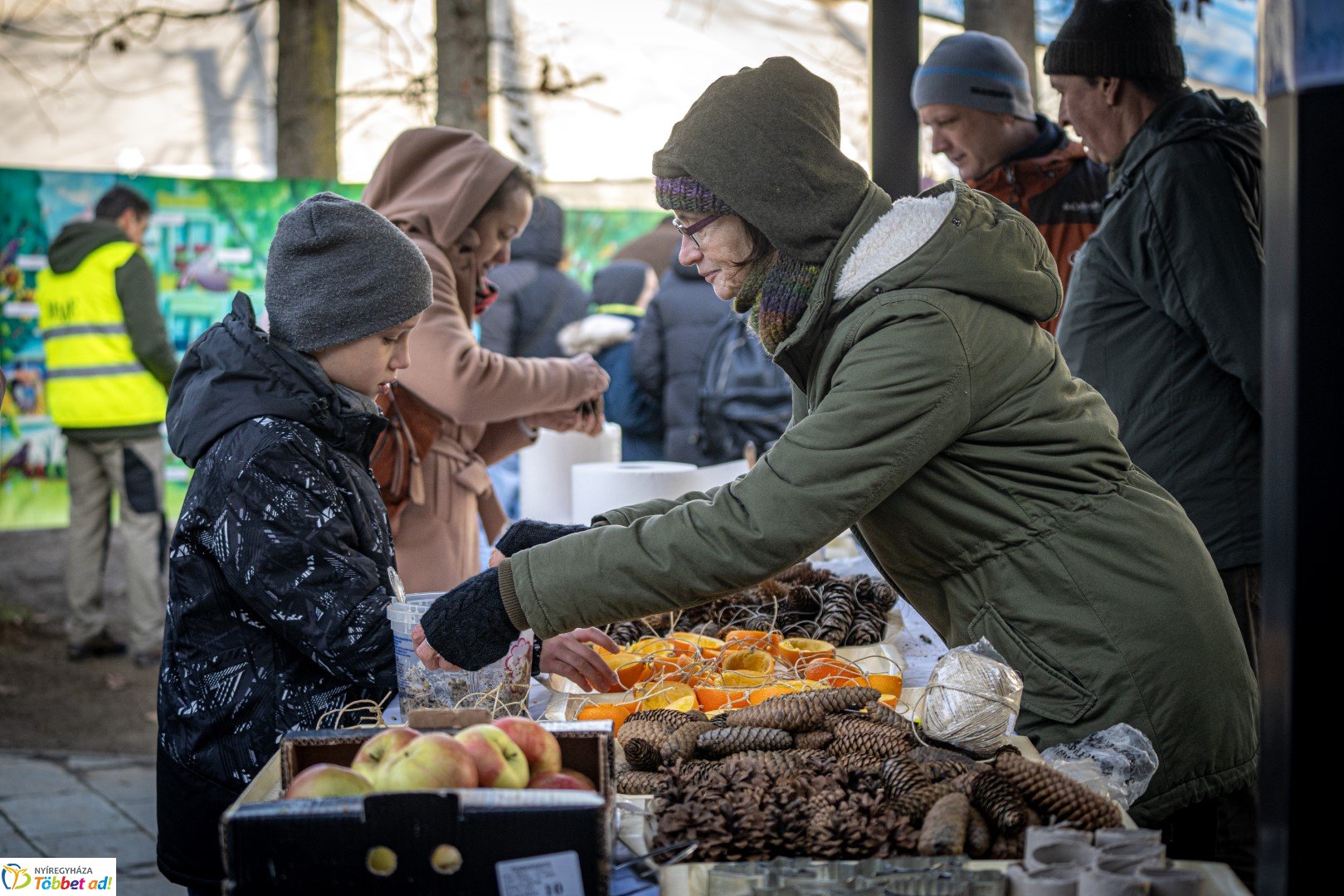 Sarkvidéki karácsony a LEGO gyárral a Nyíregyházi Állatparkban