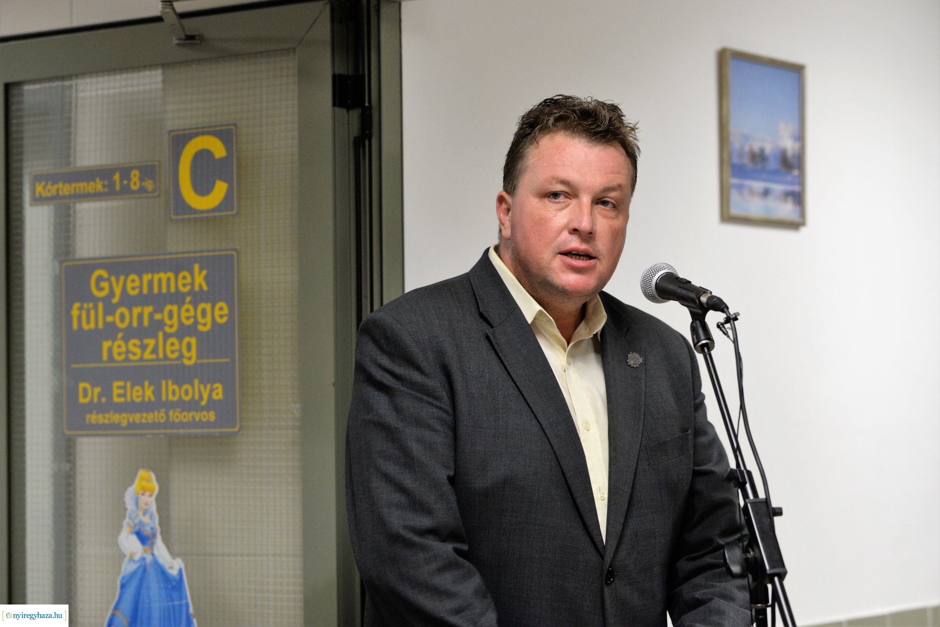 Sávolt Karolina festményei a Fül-Orr-Gégészeti Osztályon