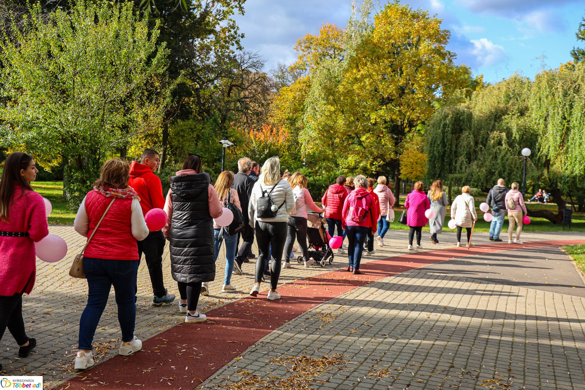 Séta mellrák ellen