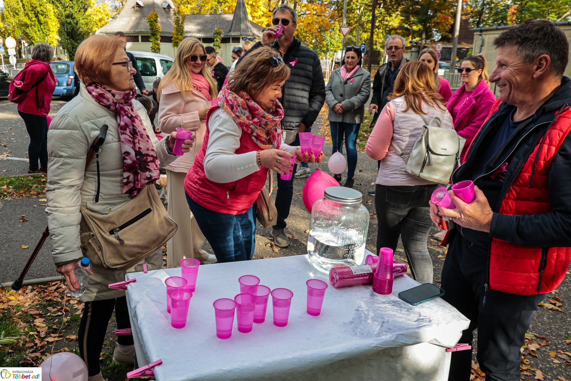 Séta mellrák ellen