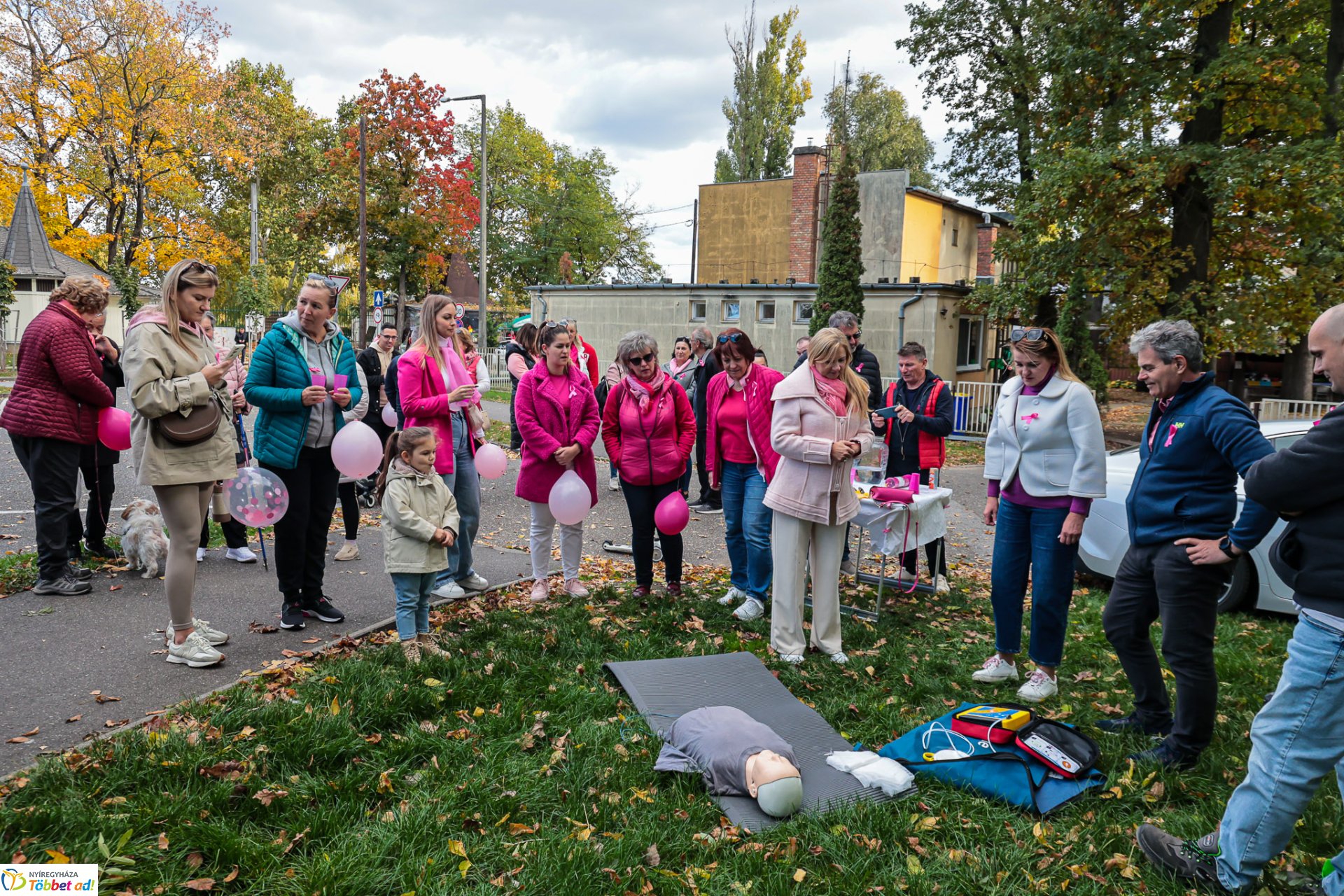Séta mellrák ellen