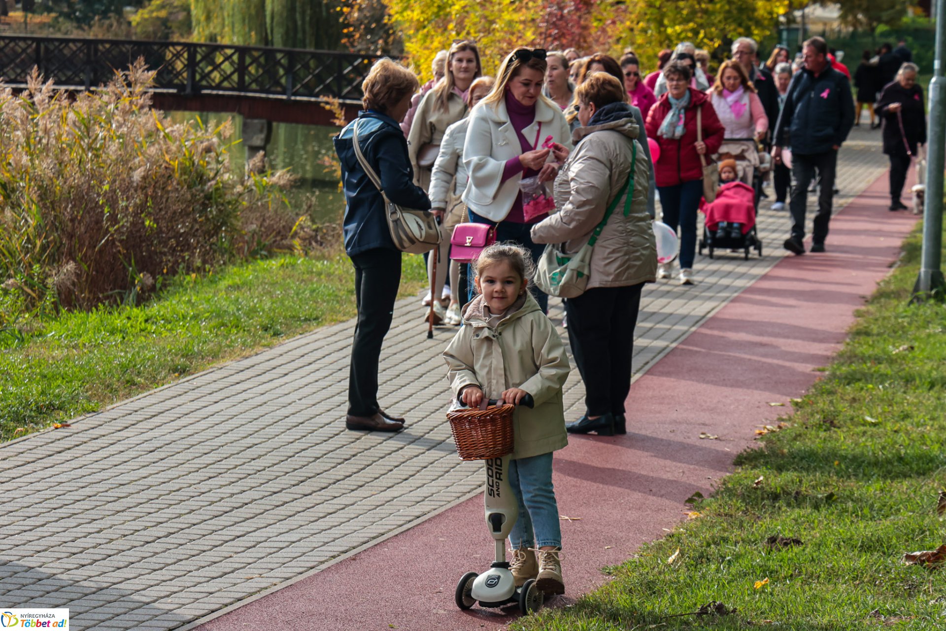 Séta mellrák ellen