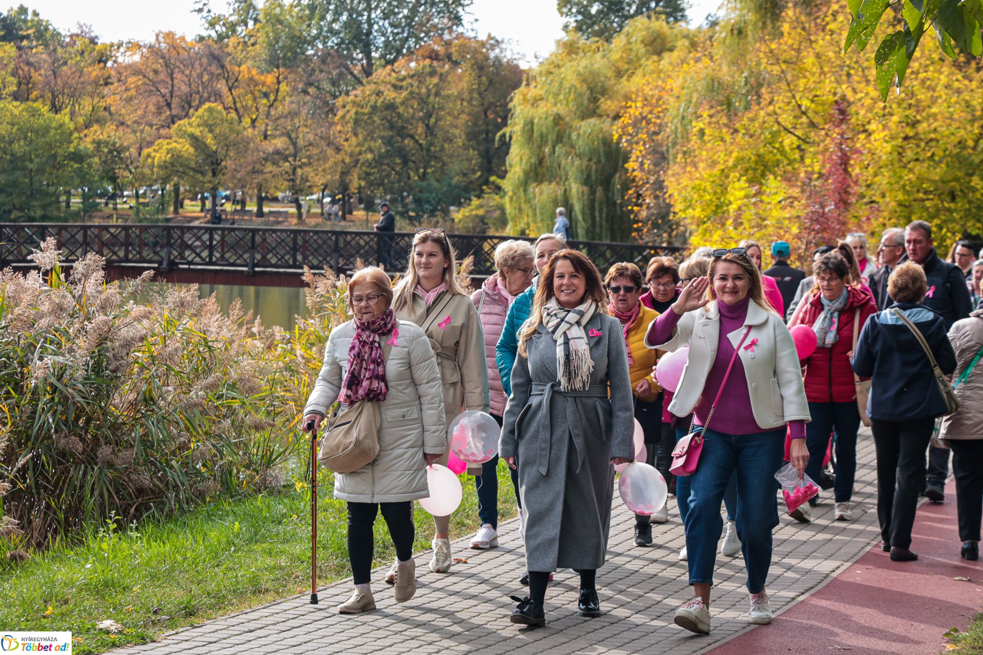 Séta mellrák ellen