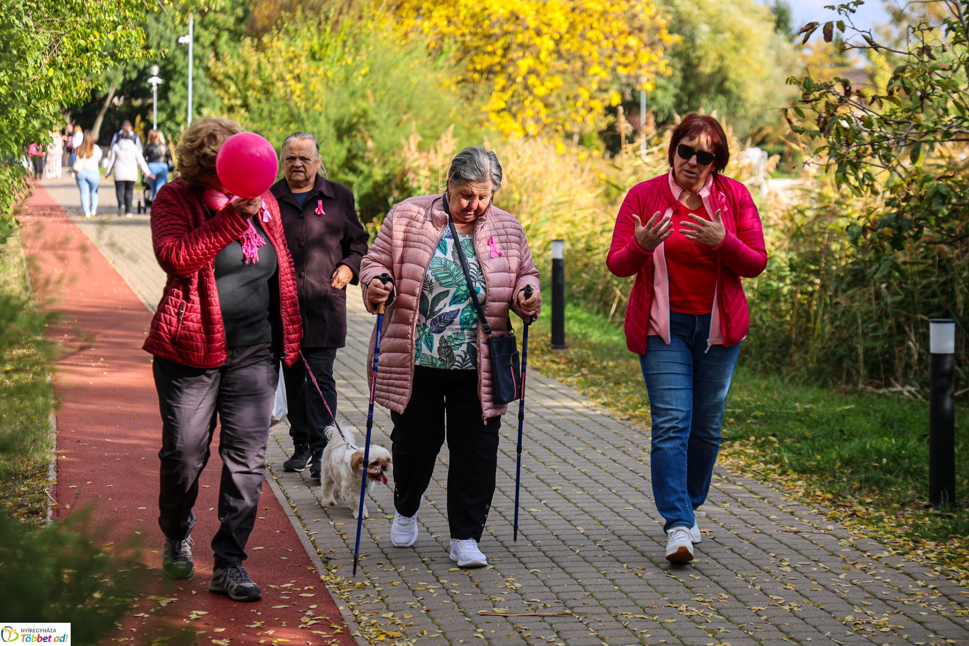 Séta mellrák ellen