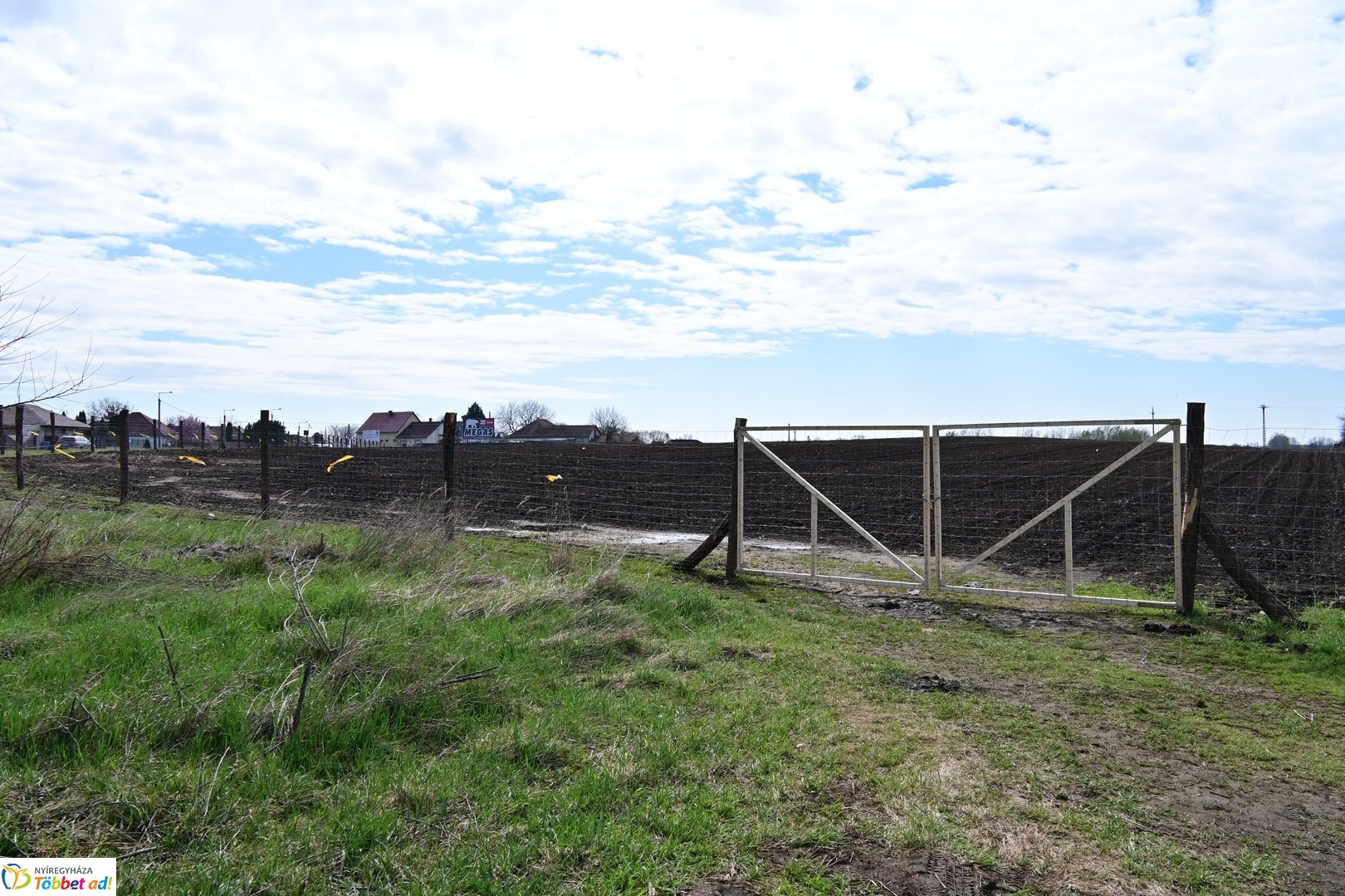 Sirály-rét erdősítési program 2026 áprilisában