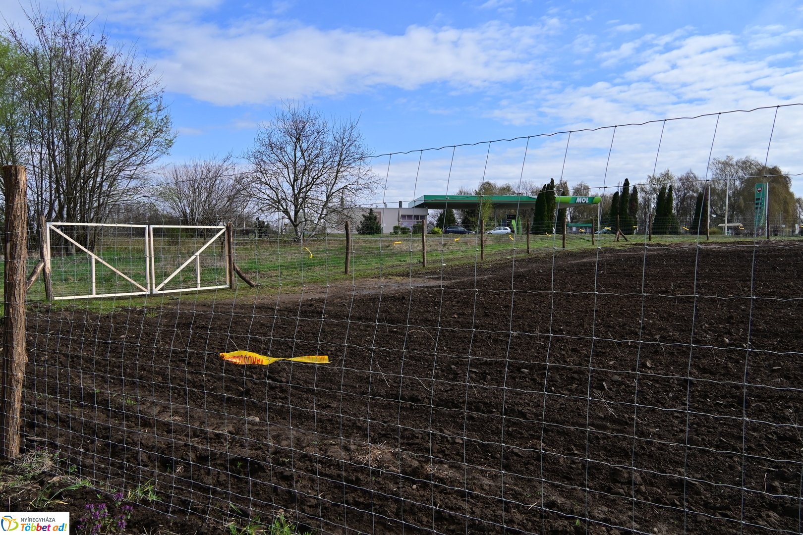 Sirály-rét erdősítési program 2026 áprilisában