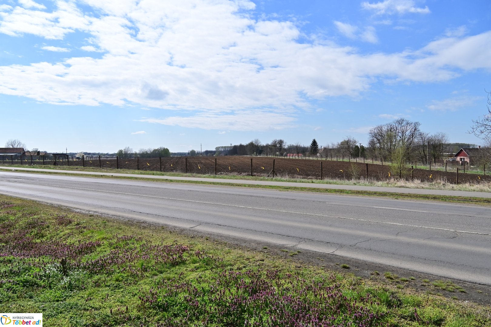 Sirály-rét erdősítési program 2026 áprilisában