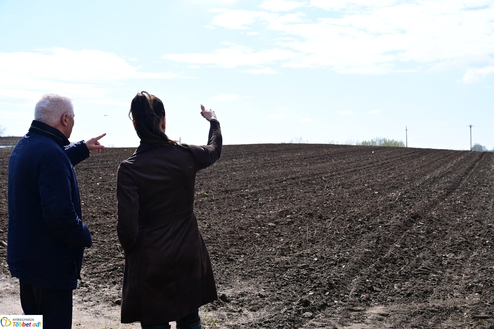 Sirály-rét erdősítési program 2026 áprilisában