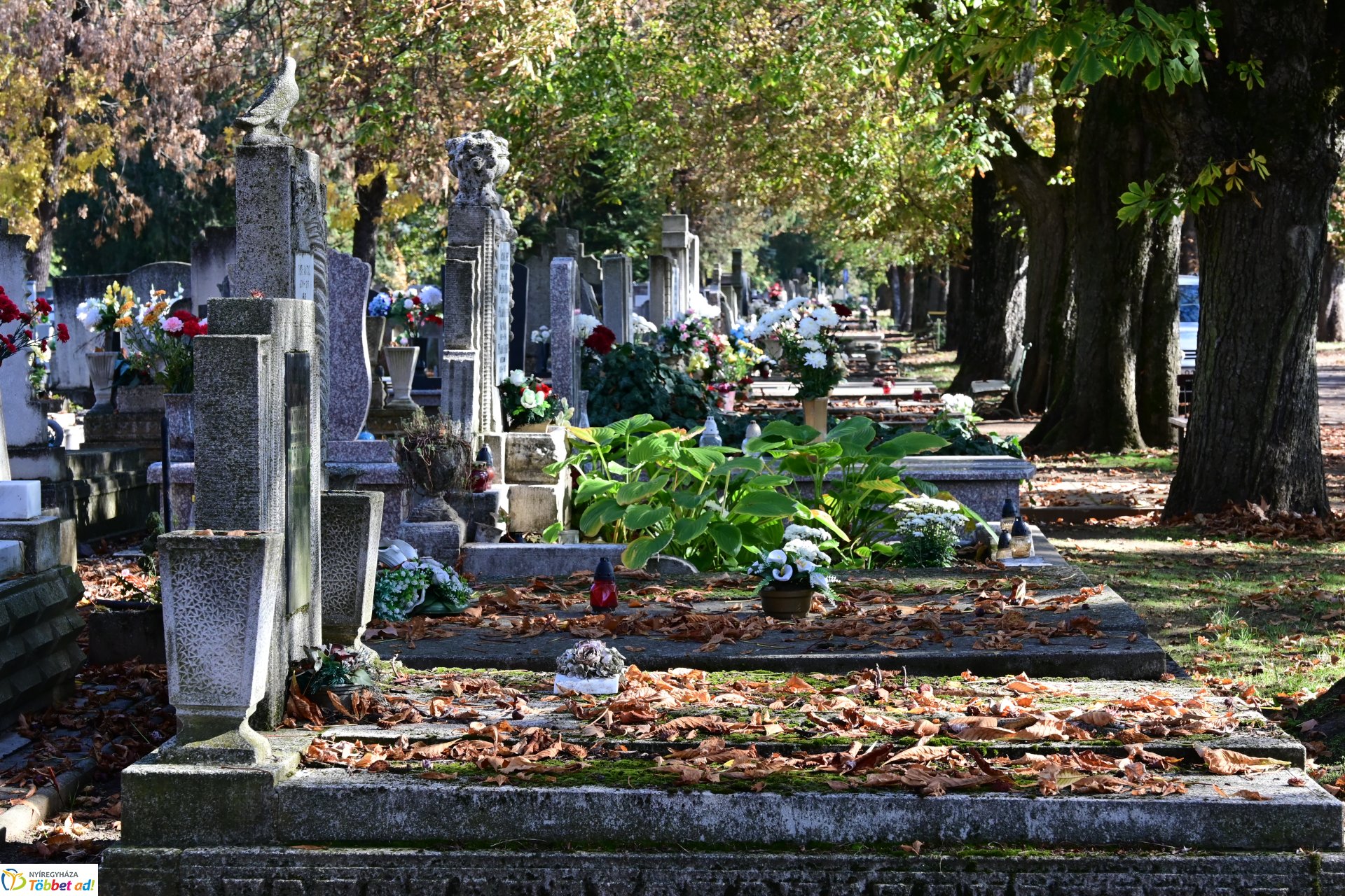 Sokan látogattak az ünnep előtti vasárnap az Északi Temetőbe