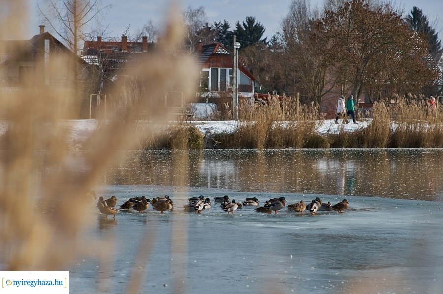 Sóstó 20210213