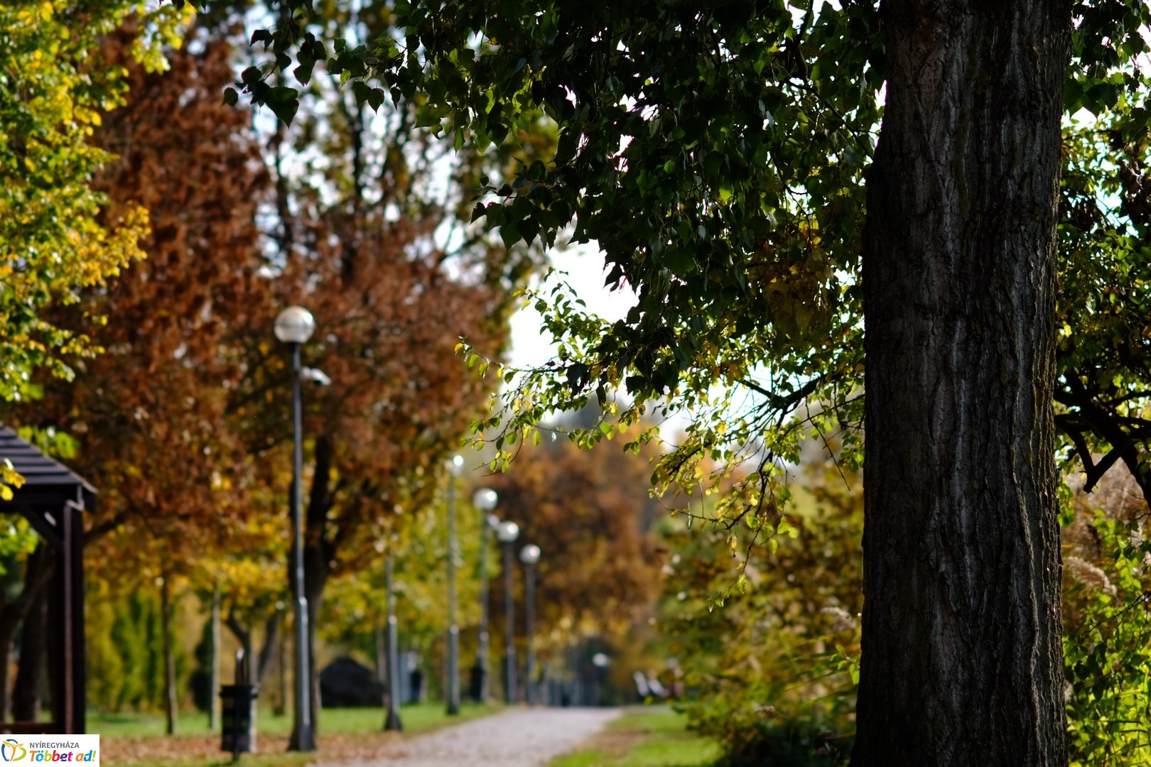 Sóstó őszies arca 2025 októberében
