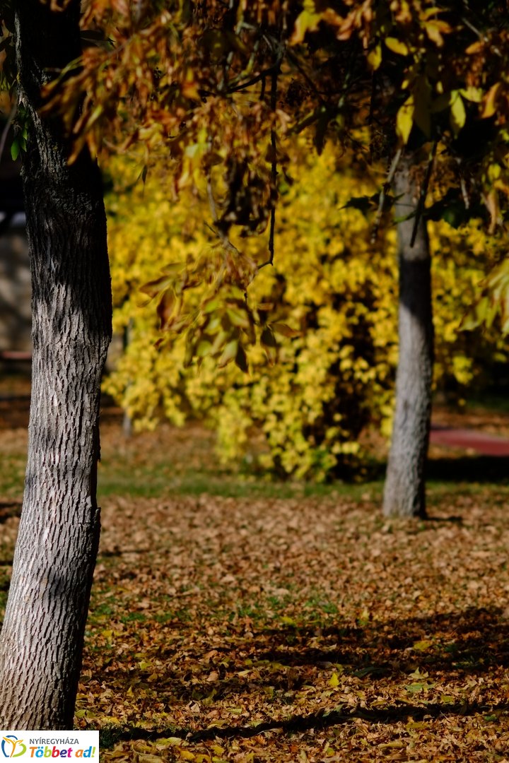Sóstó őszies arca 2025 októberében