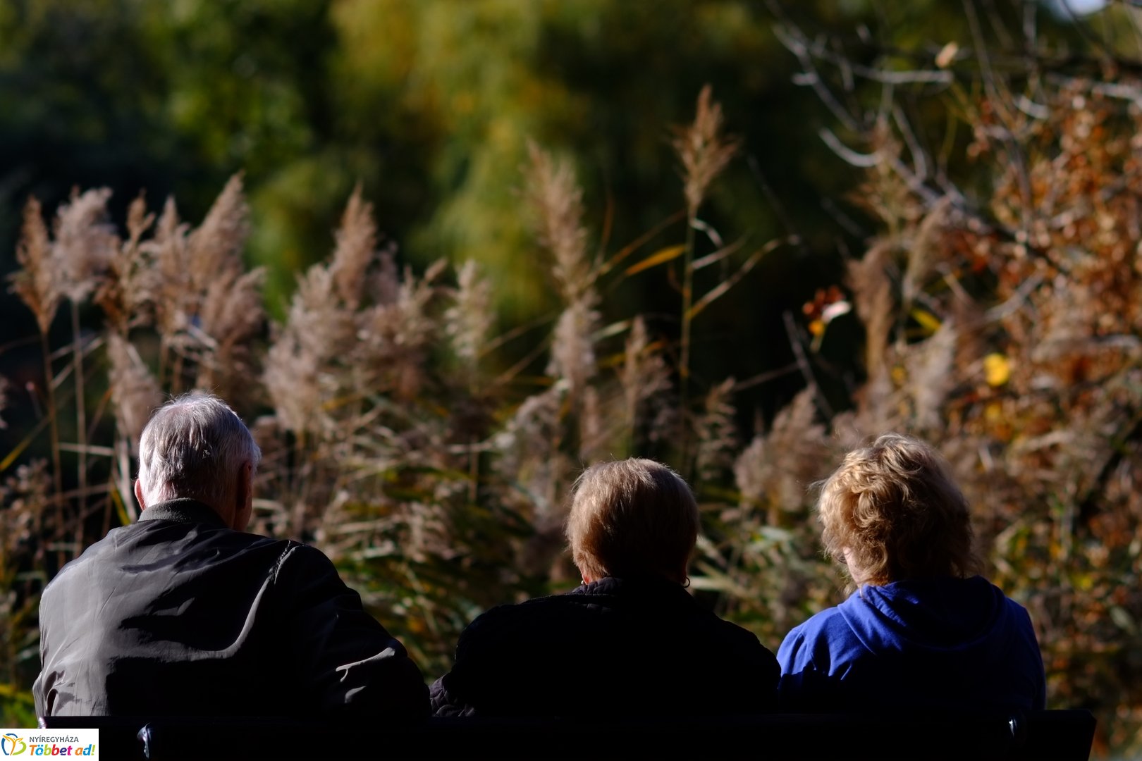 Sóstó őszies arca 2025 októberében
