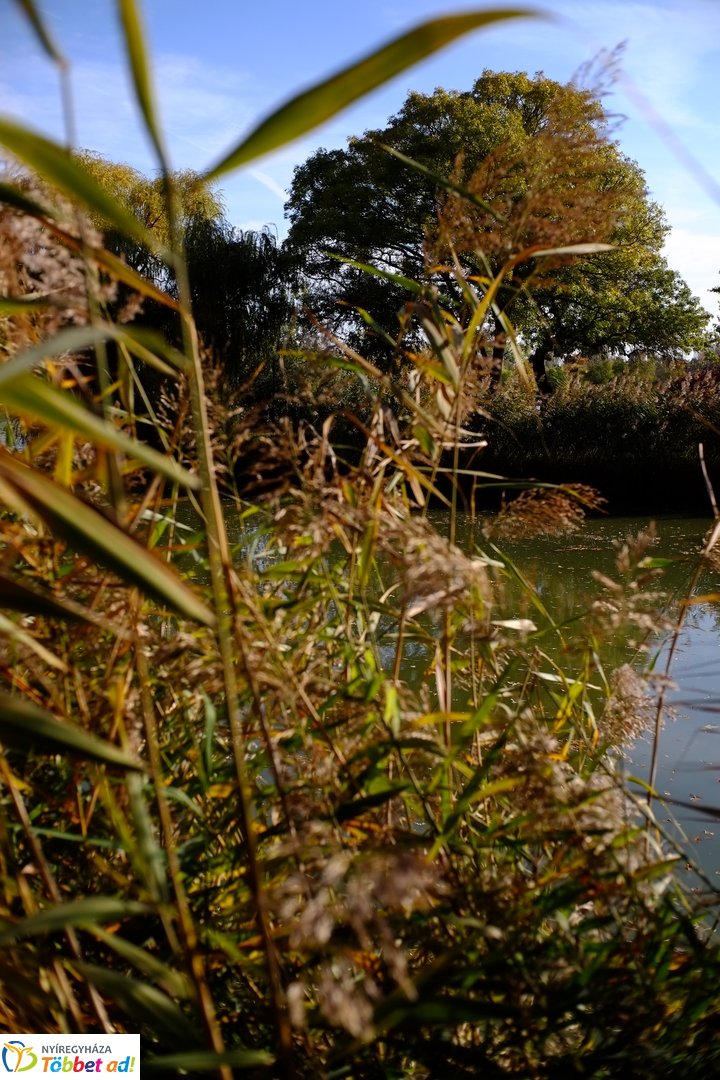 Sóstó őszies arca 2025 októberében