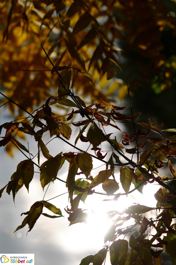 Sóstó őszies arca 2025 októberében