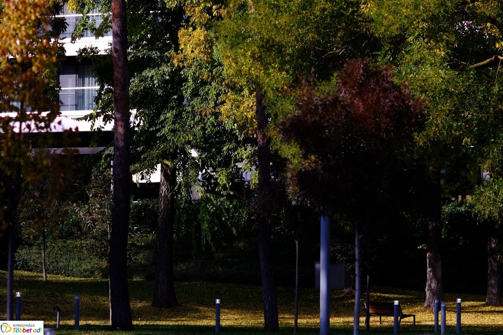 Sóstó őszies arca 2025 októberében