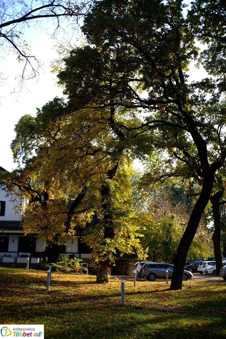 Sóstó őszies arca 2025 októberében