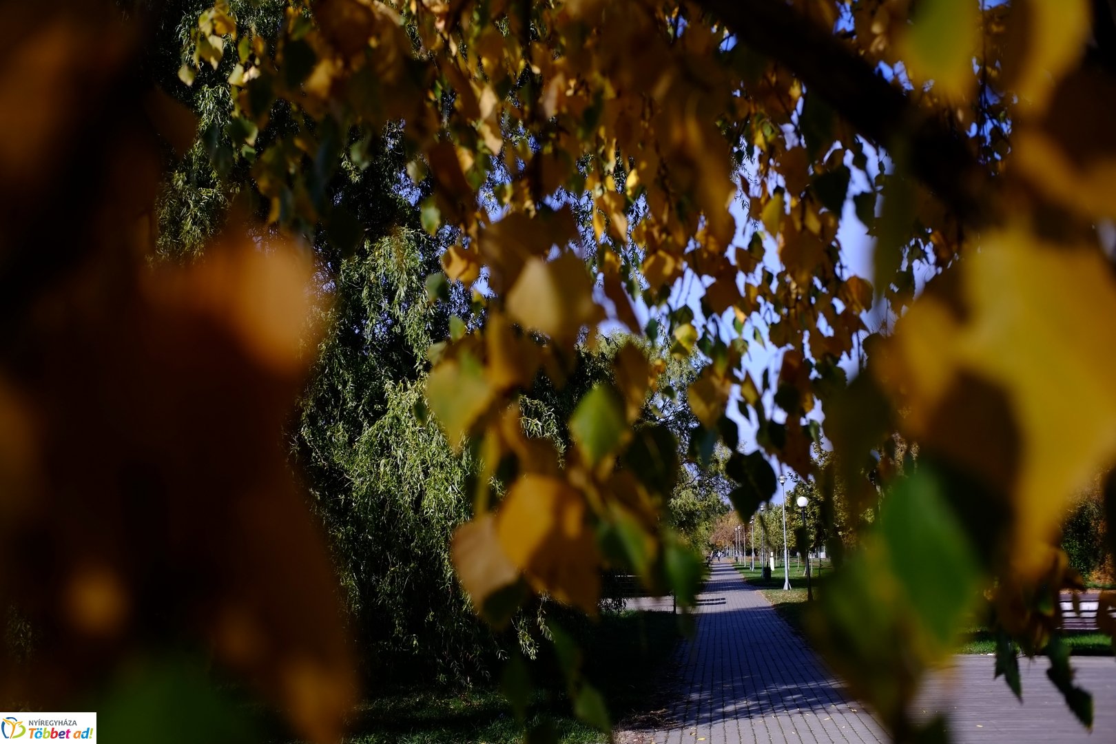 Sóstó őszies arca 2025 októberében