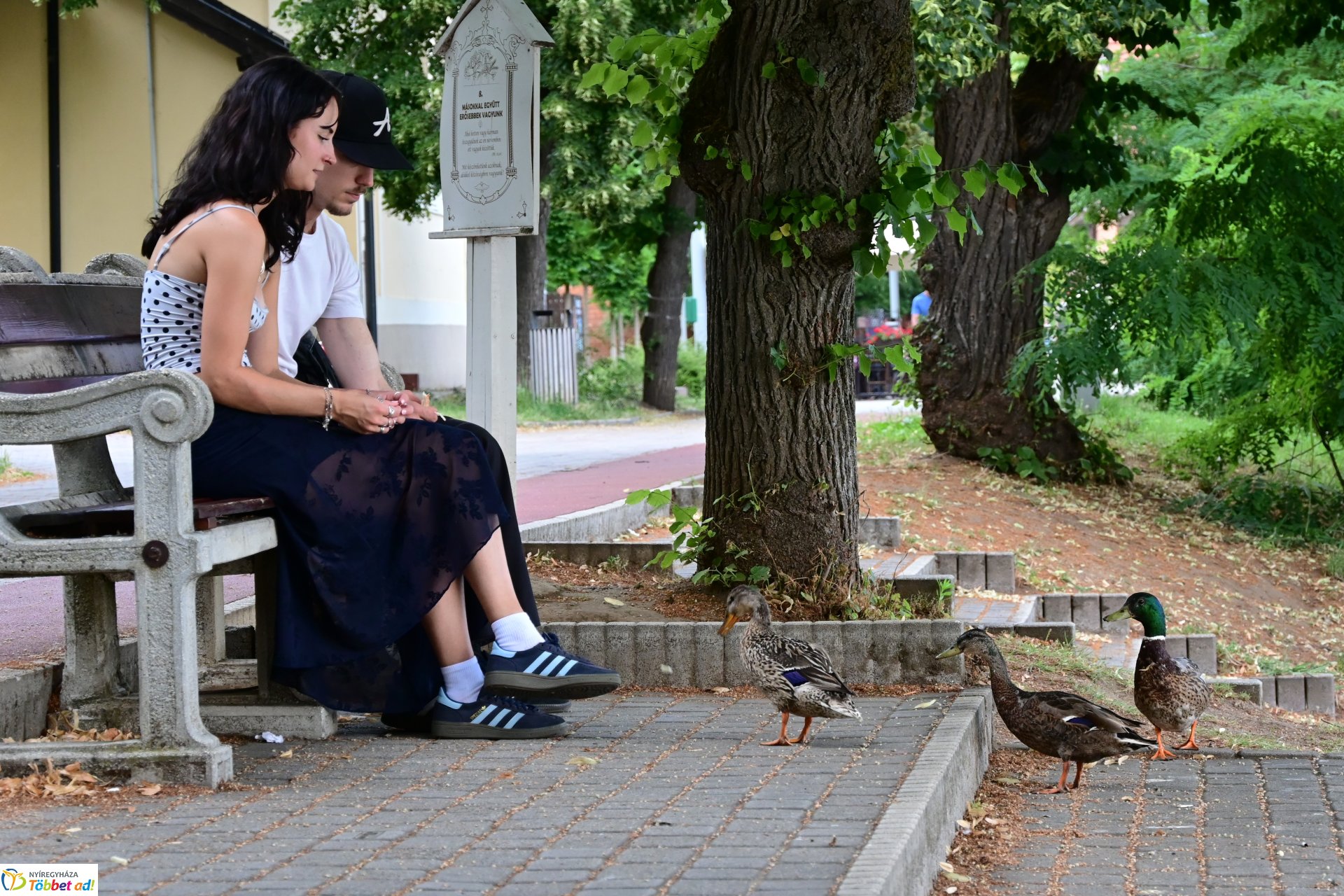 Sóstó varázsa vonzó a turisták körében