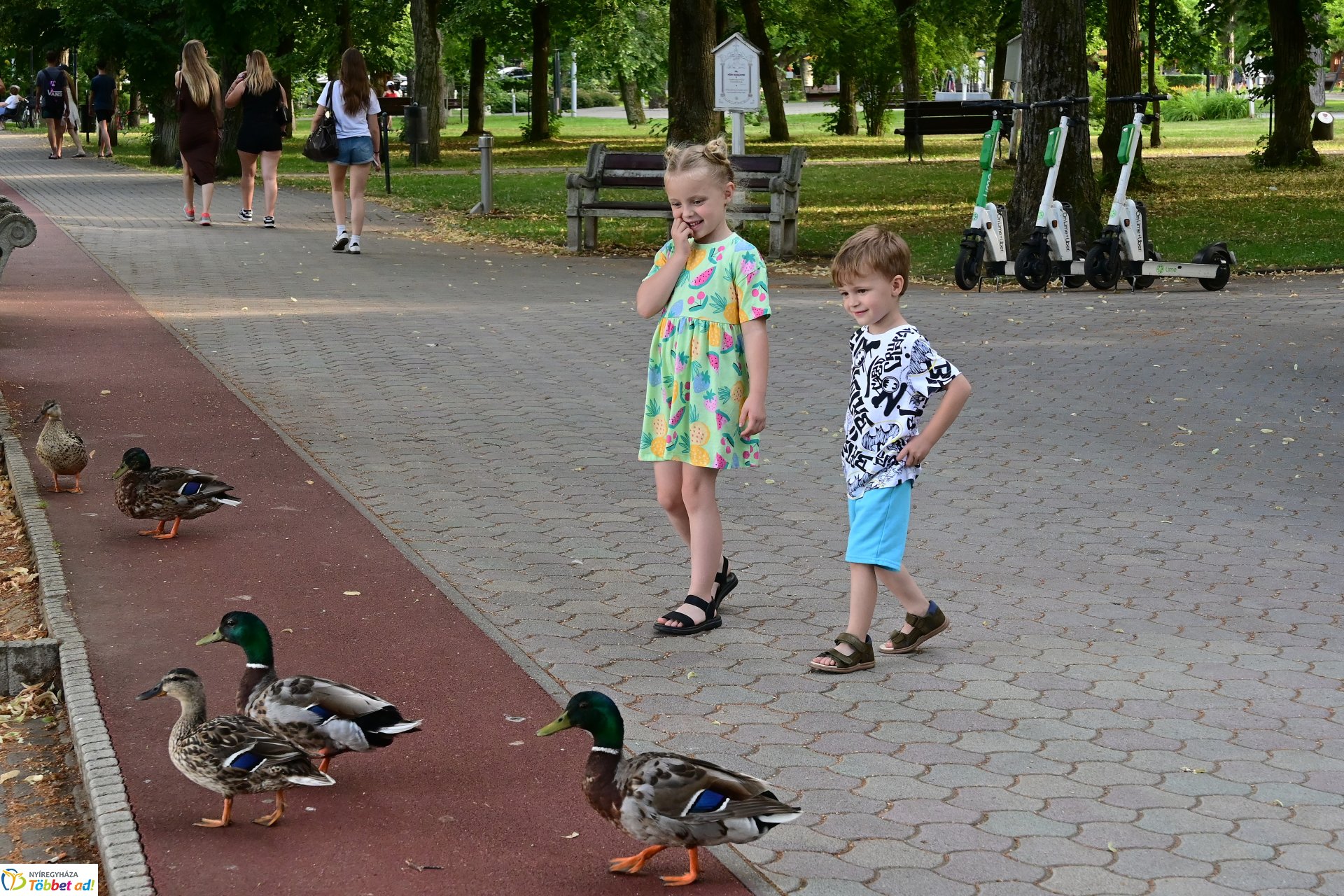 Sóstó varázsa vonzó a turisták körében