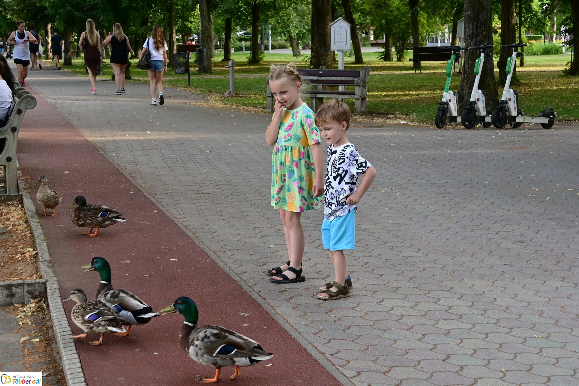 Sóstó varázsa vonzó a turisták körében