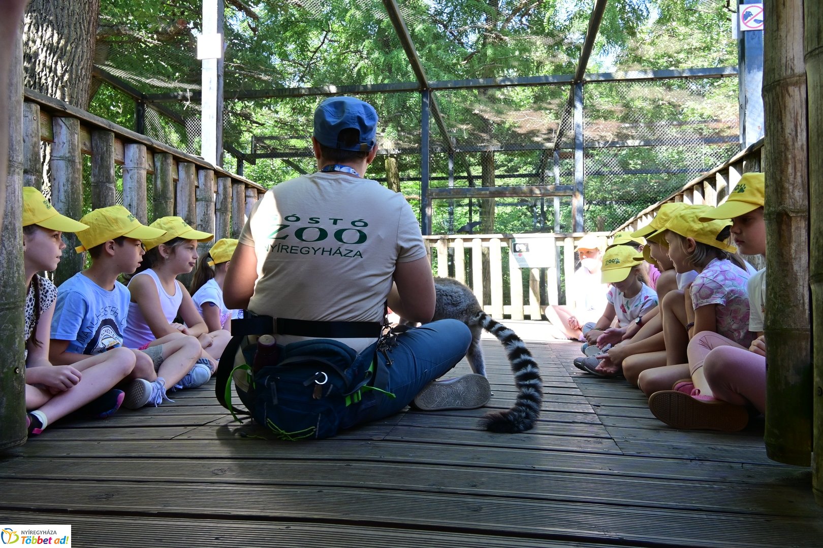 Sóstó Zoo tábor 2025