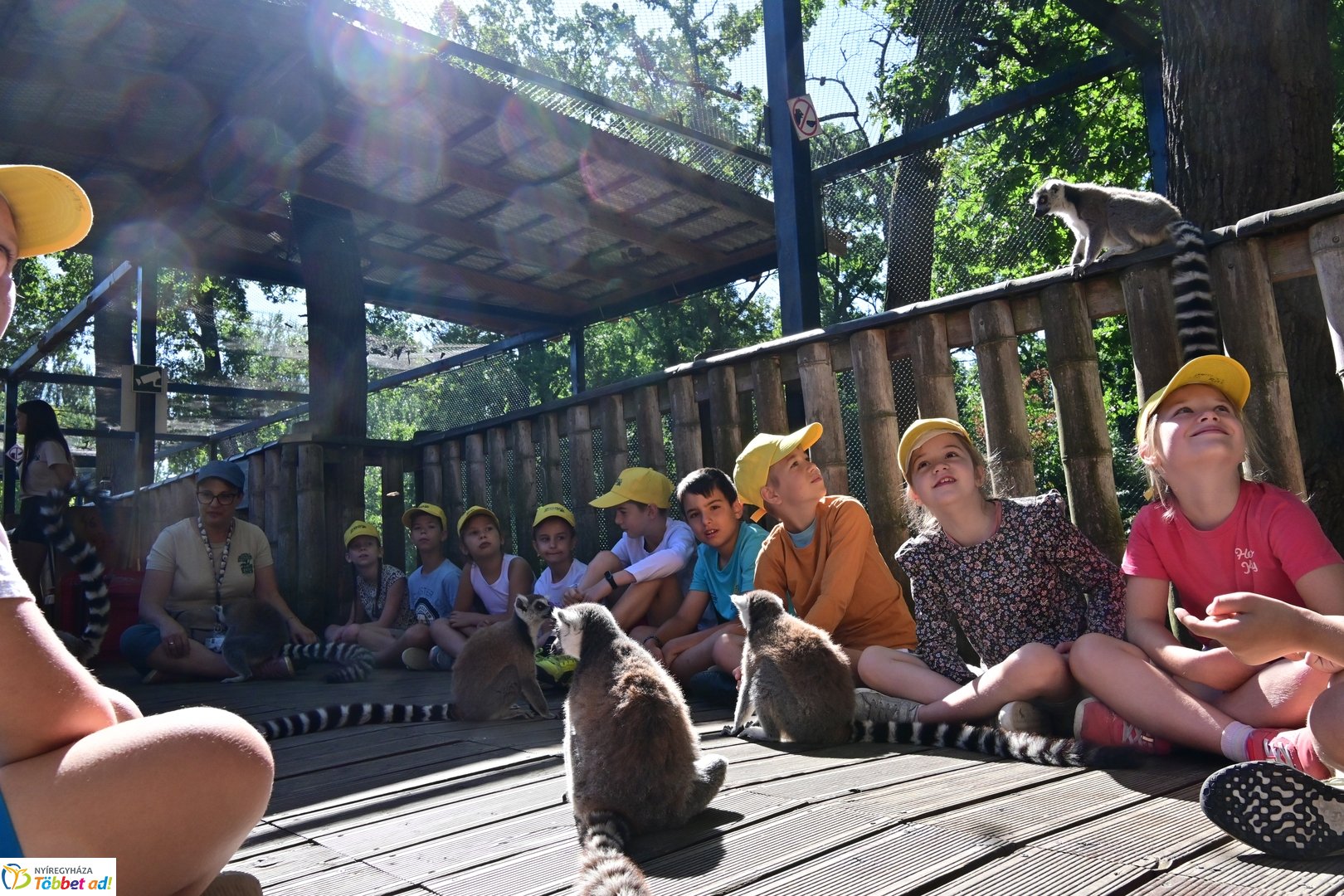 Sóstó Zoo tábor 2025