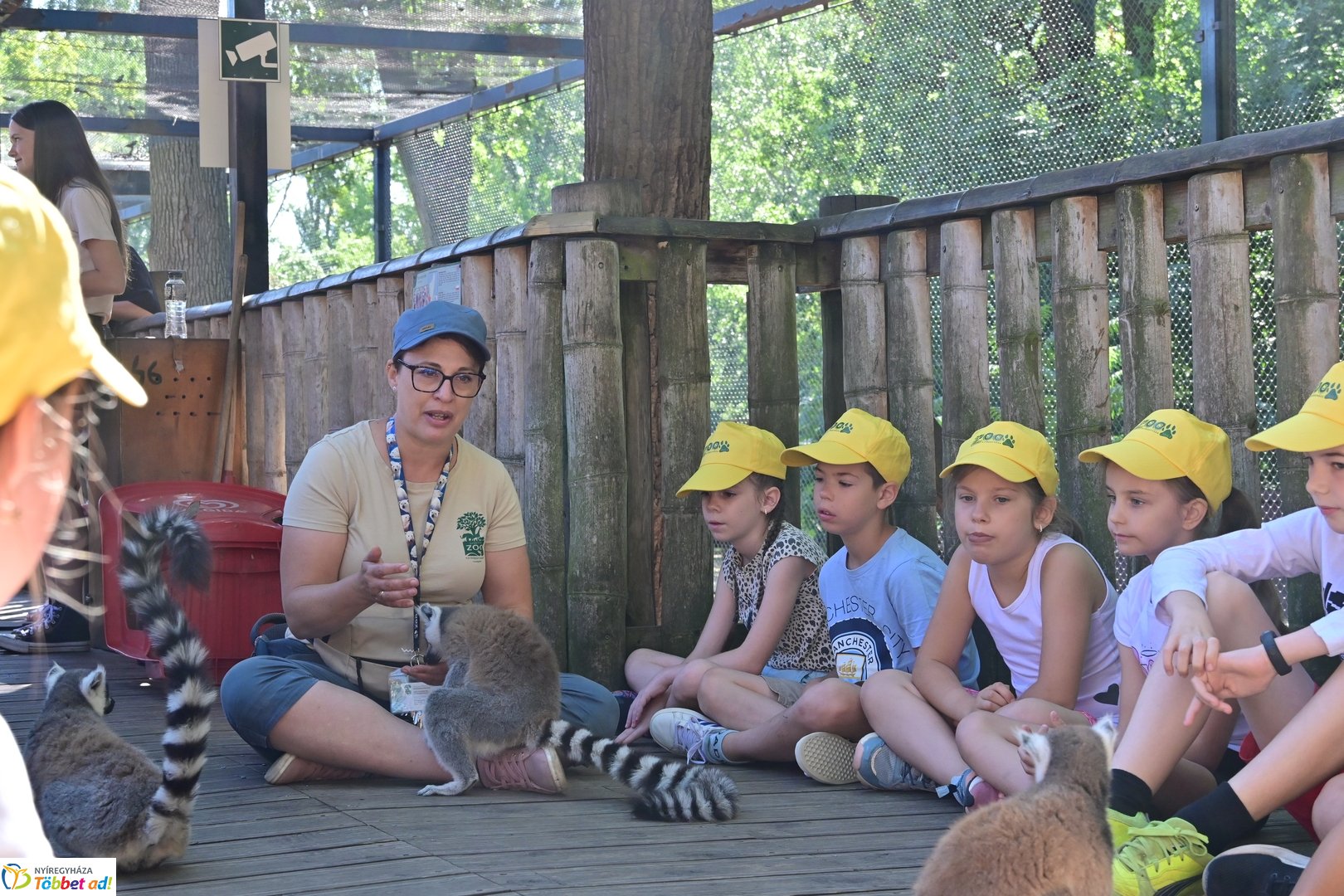 Sóstó Zoo tábor 2025