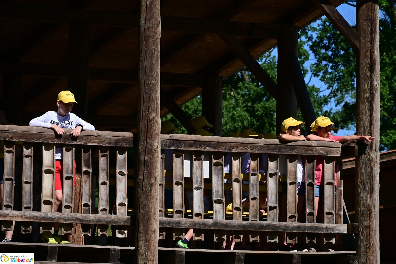 Sóstó Zoo tábor 2025