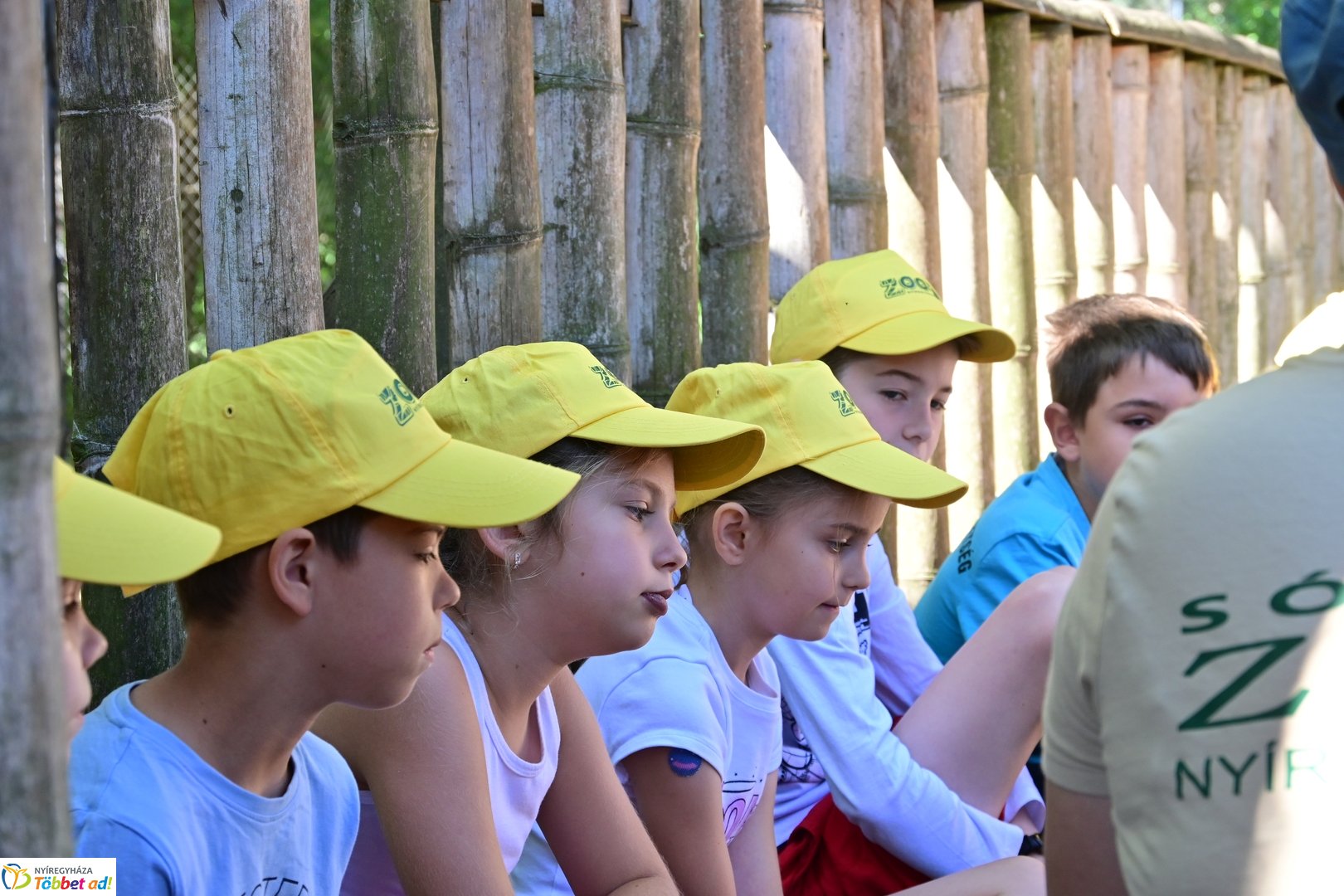 Sóstó Zoo tábor 2025