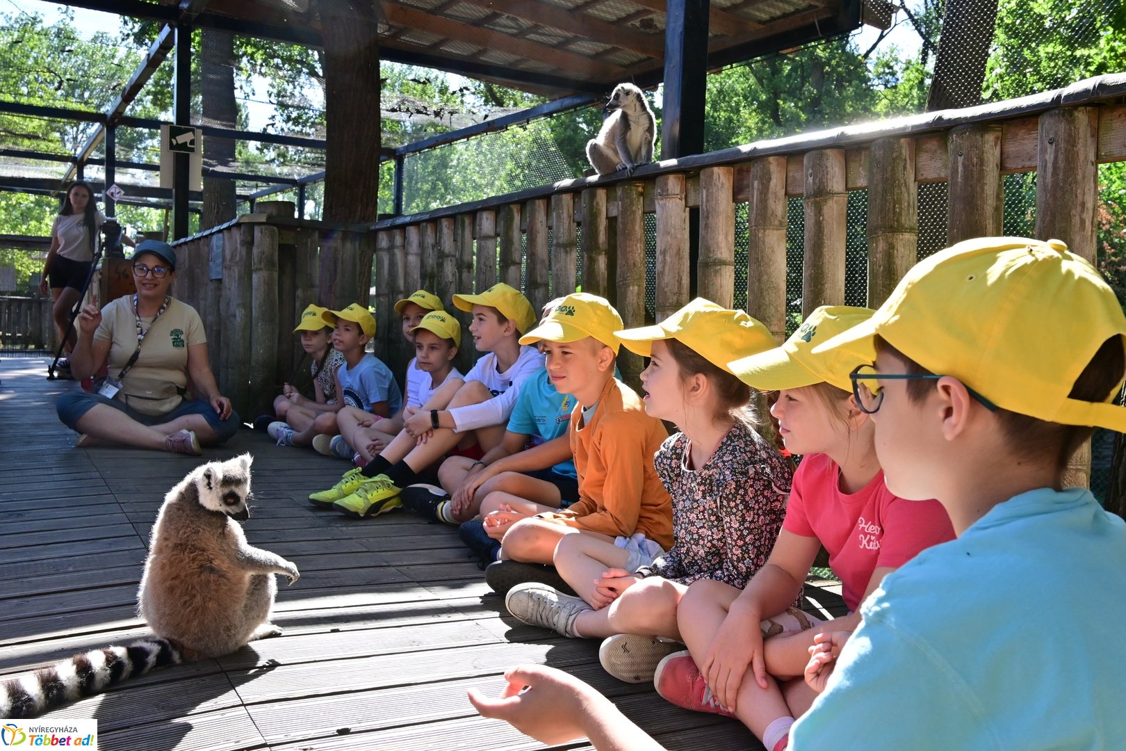 Sóstó Zoo tábor 2025