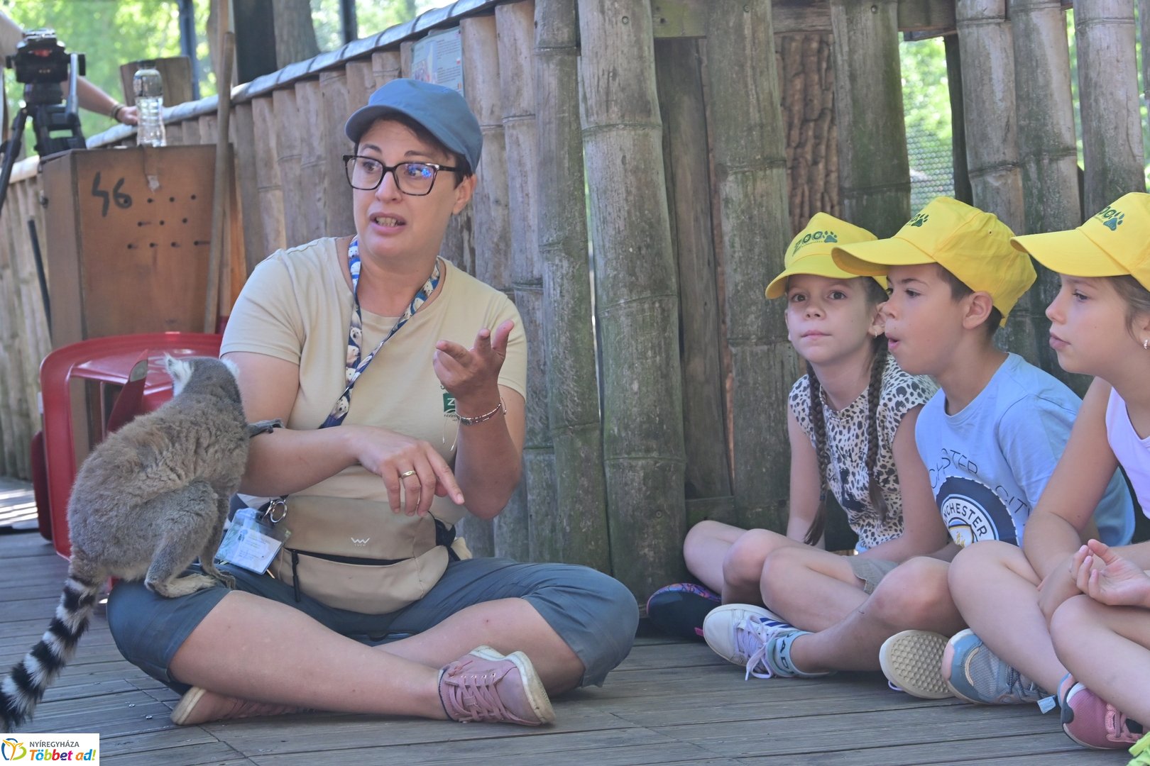 Sóstó Zoo tábor 2025