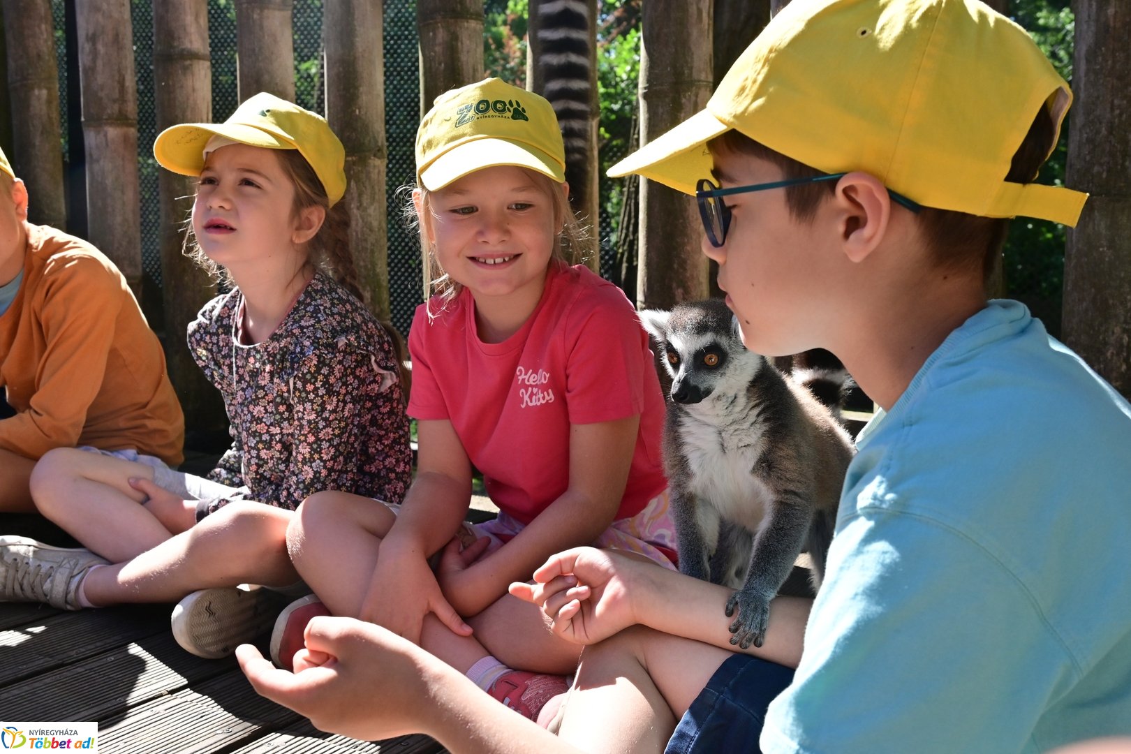 Sóstó Zoo tábor 2025