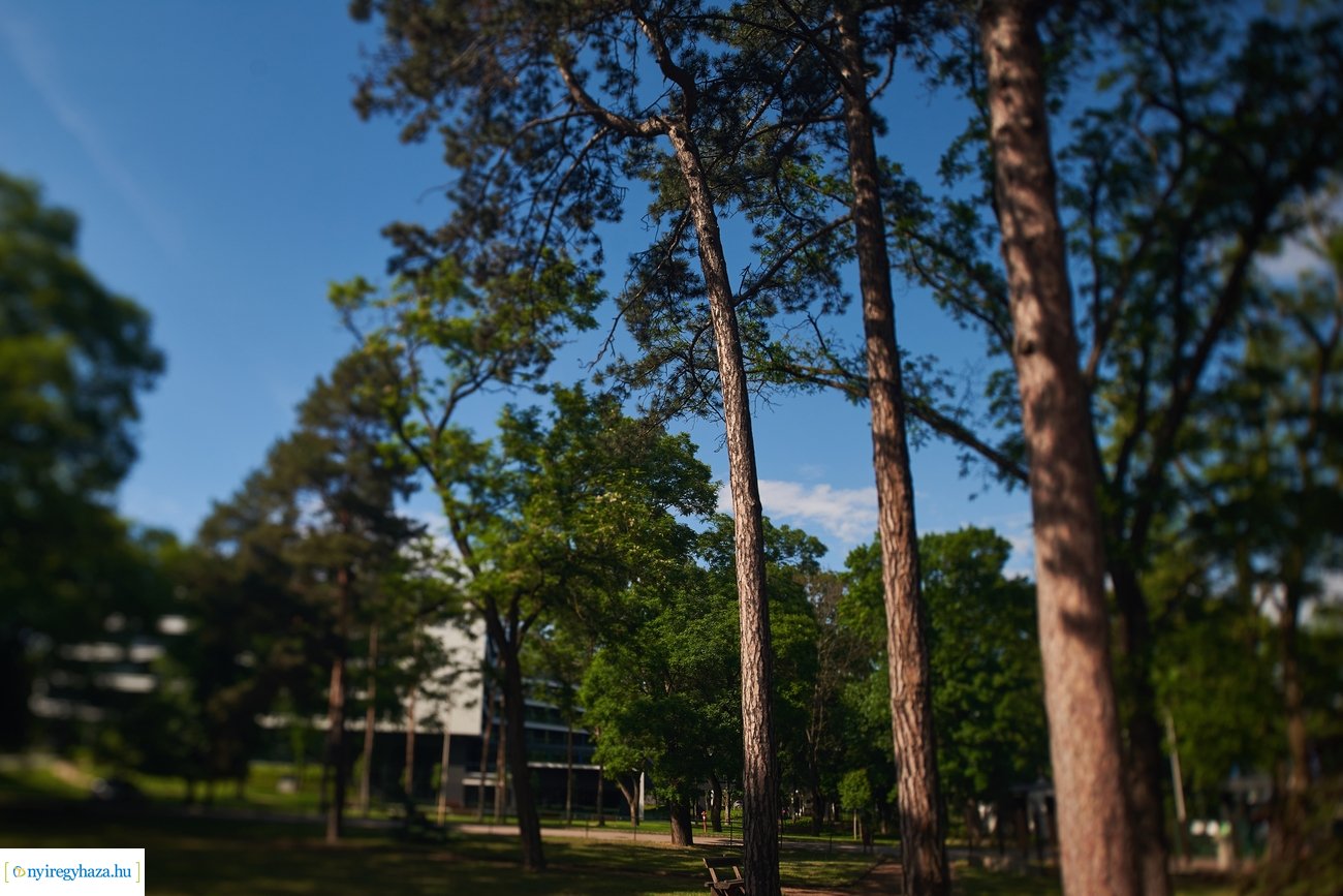 Sóstói csendélet 200528